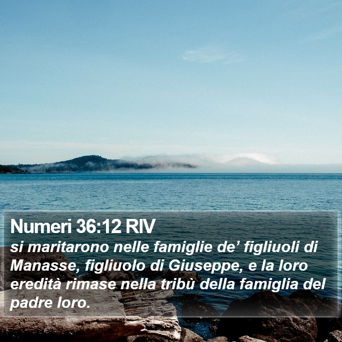 Numeri 36:12 RIV Bible Study