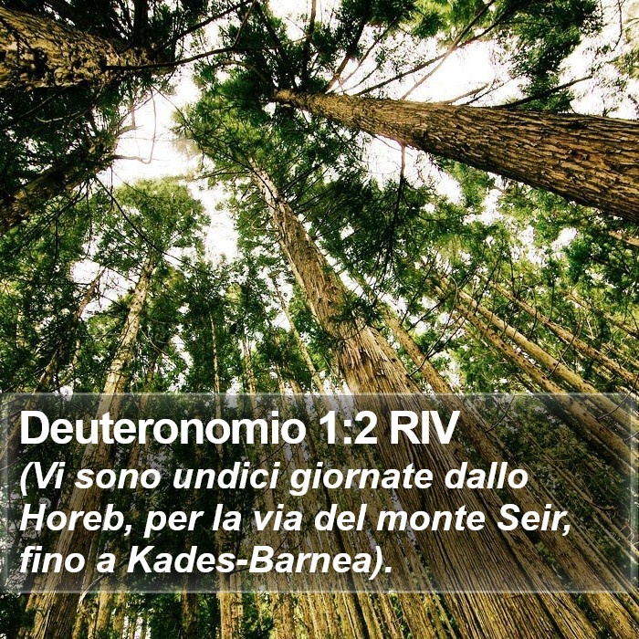 Deuteronomio 1:2 RIV Bible Study