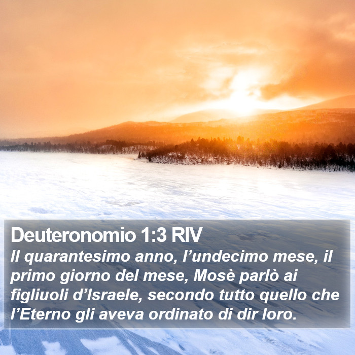 Deuteronomio 1:3 RIV Bible Study