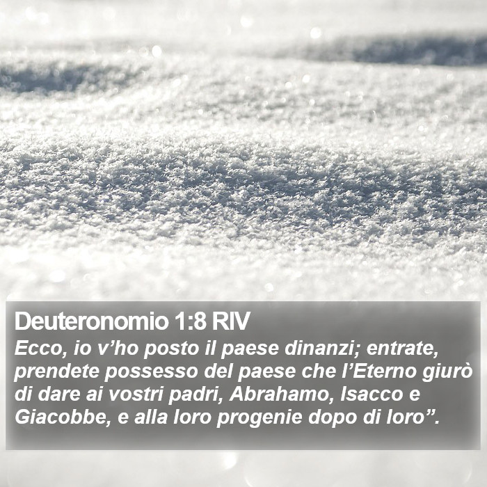 Deuteronomio 1:8 RIV Bible Study