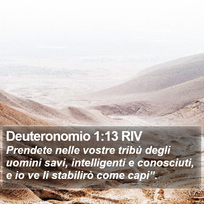 Deuteronomio 1:13 RIV Bible Study