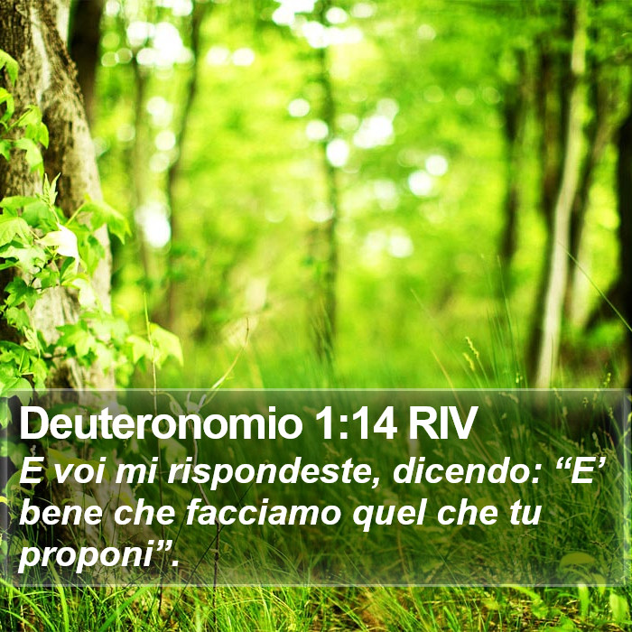 Deuteronomio 1:14 RIV Bible Study