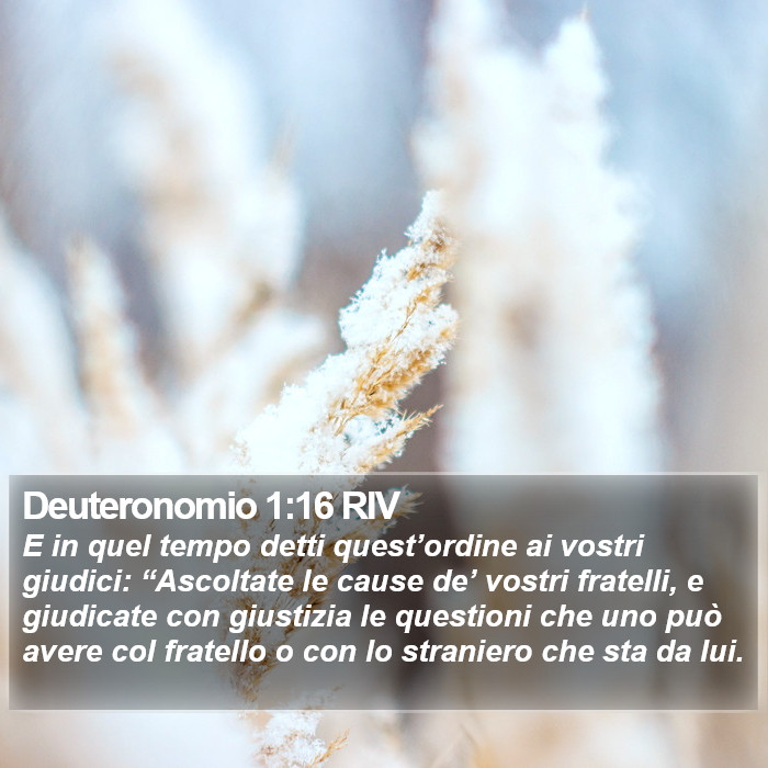 Deuteronomio 1:16 RIV Bible Study