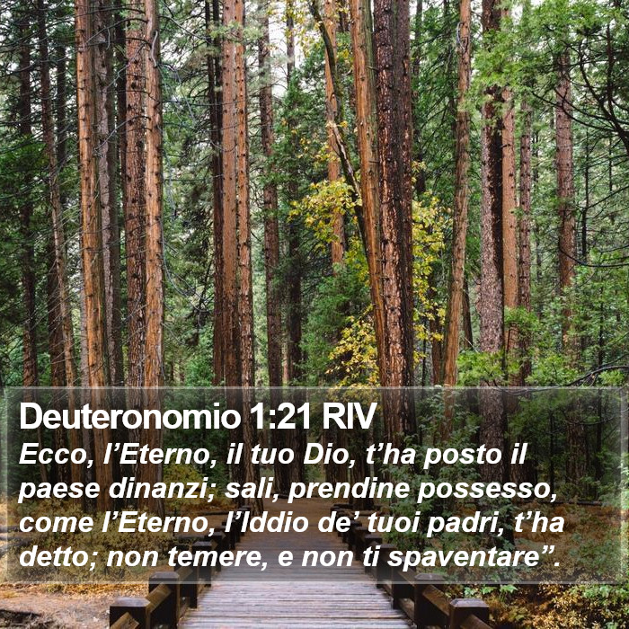 Deuteronomio 1:21 RIV Bible Study