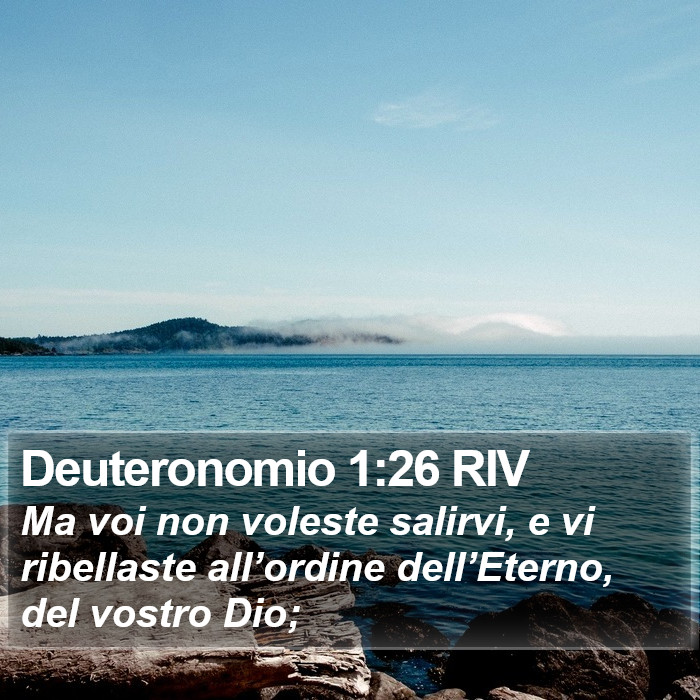 Deuteronomio 1:26 RIV Bible Study