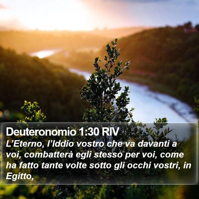 Deuteronomio 1:30 RIV Bible Study