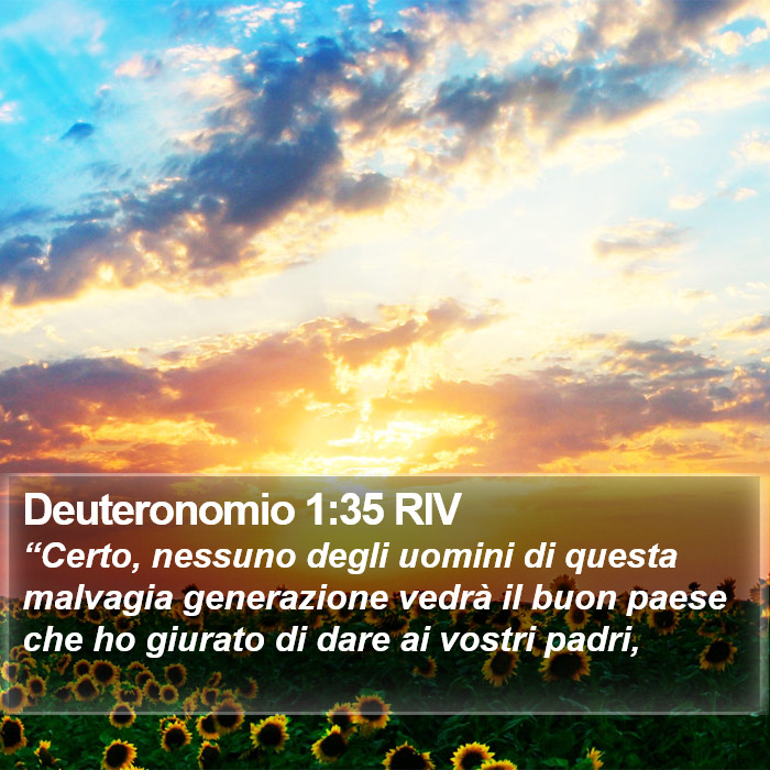 Deuteronomio 1:35 RIV Bible Study