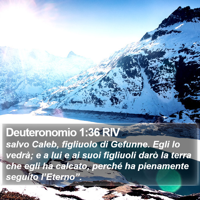 Deuteronomio 1:36 RIV Bible Study