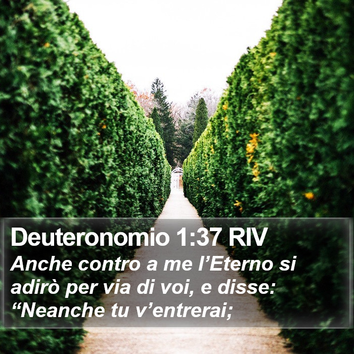 Deuteronomio 1:37 RIV Bible Study