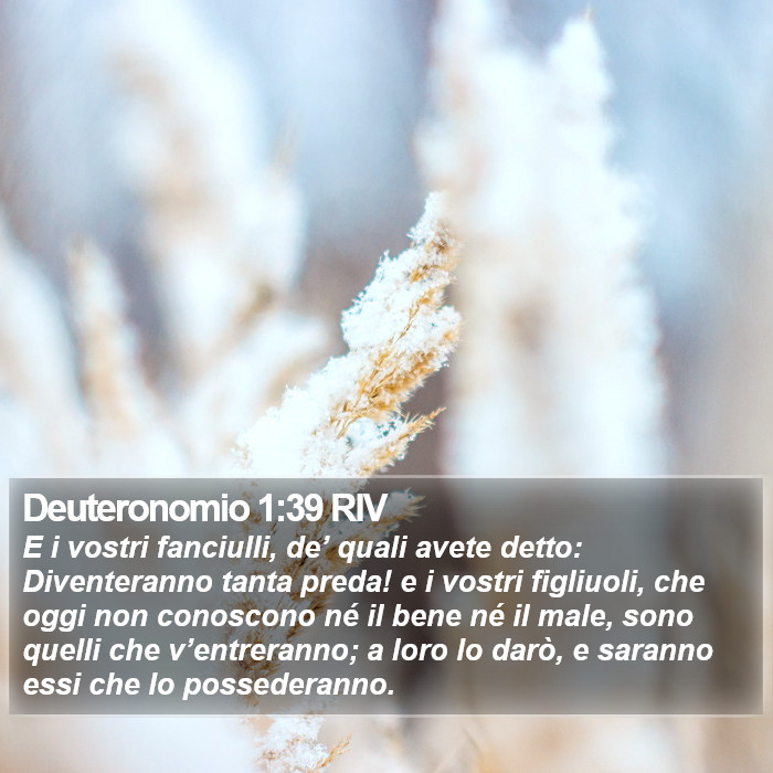 Deuteronomio 1:39 RIV Bible Study