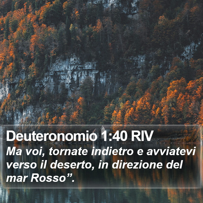 Deuteronomio 1:40 RIV Bible Study