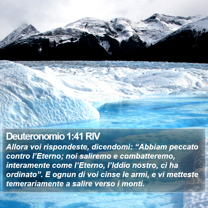 Deuteronomio 1:41 RIV Bible Study