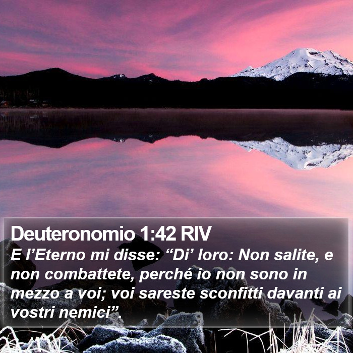 Deuteronomio 1:42 RIV Bible Study