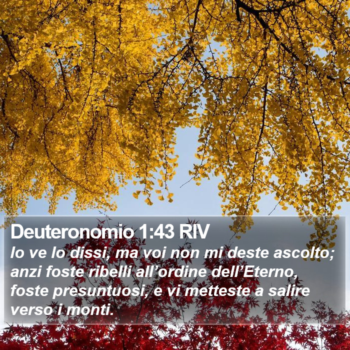 Deuteronomio 1:43 RIV Bible Study