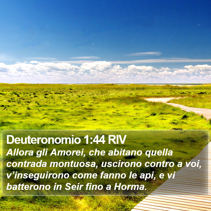 Deuteronomio 1:44 RIV Bible Study