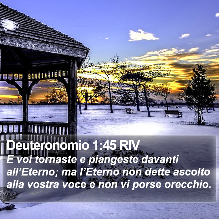 Deuteronomio 1:45 RIV Bible Study