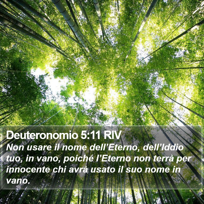 Deuteronomio 5:11 RIV Bible Study