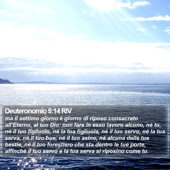 Deuteronomio 5:14 RIV Bible Study