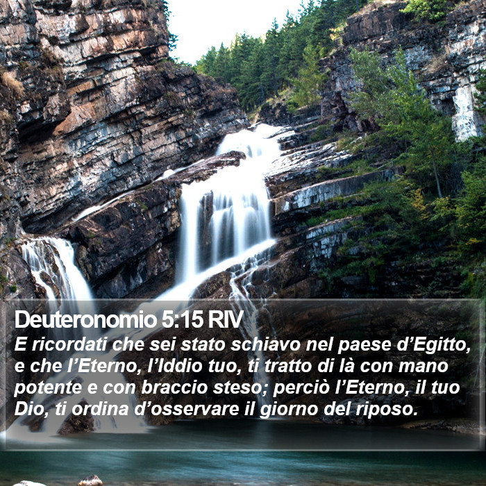 Deuteronomio 5:15 RIV Bible Study