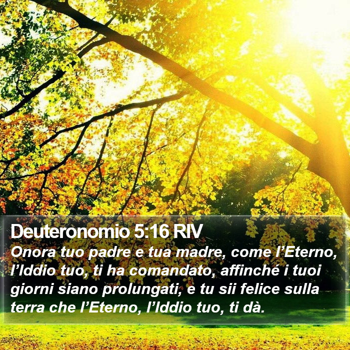 Deuteronomio 5:16 RIV Bible Study