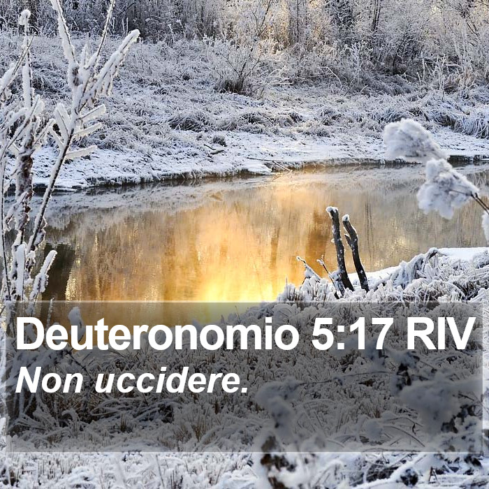 Deuteronomio 5:17 RIV Bible Study