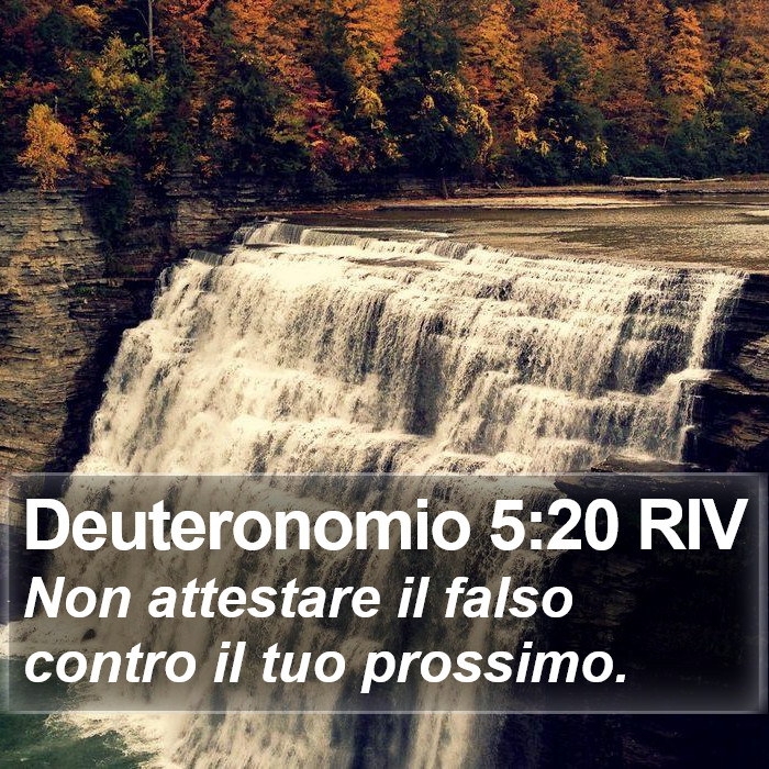 Deuteronomio 5:20 RIV Bible Study