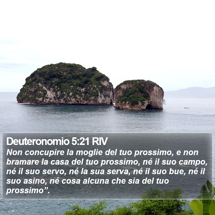 Deuteronomio 5:21 RIV Bible Study