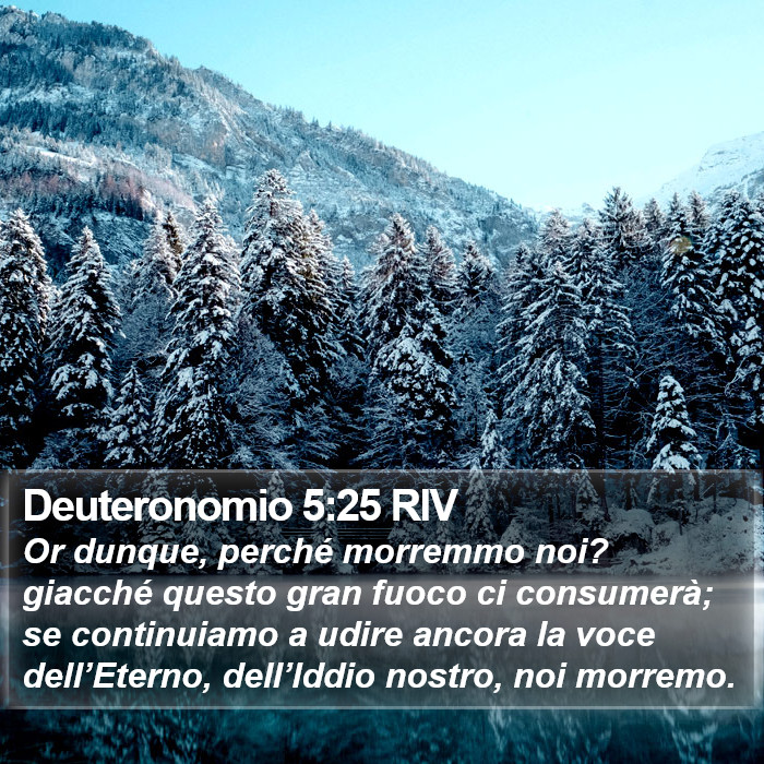 Deuteronomio 5:25 RIV Bible Study