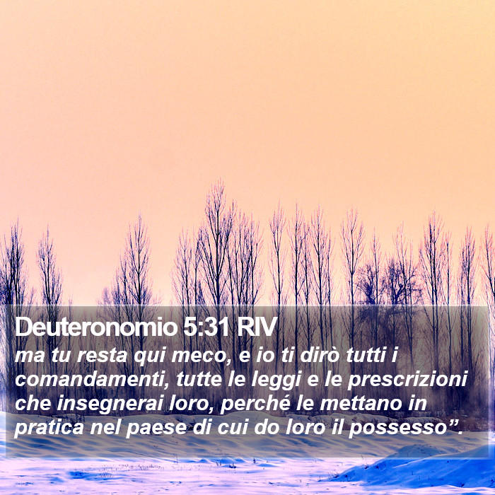 Deuteronomio 5:31 RIV Bible Study