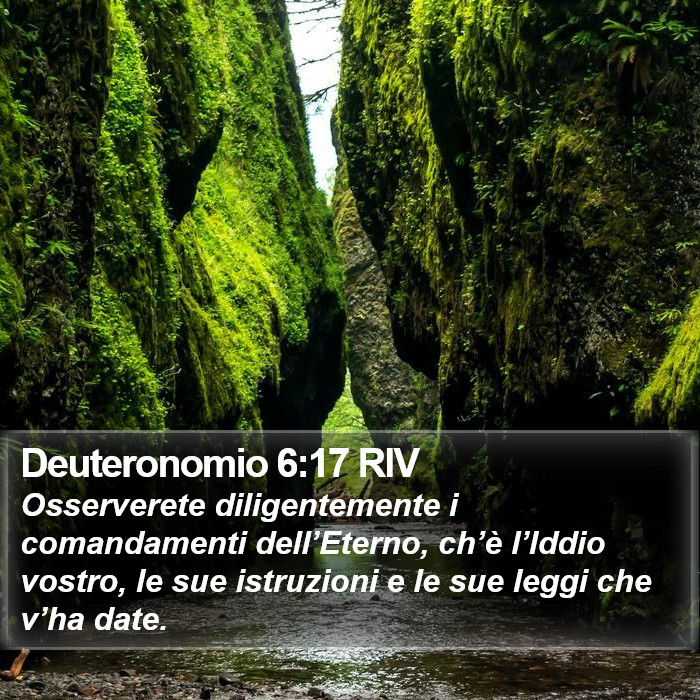 Deuteronomio 6:17 RIV Bible Study