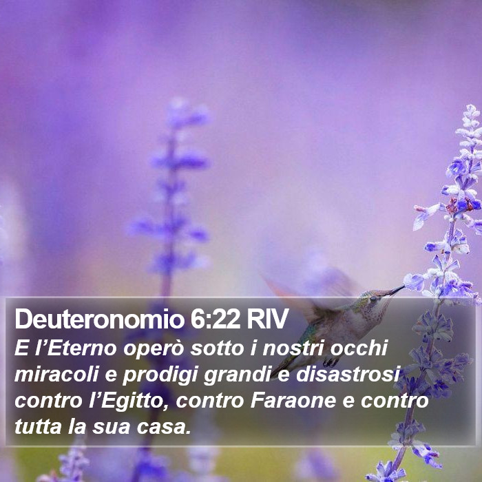 Deuteronomio 6:22 RIV Bible Study