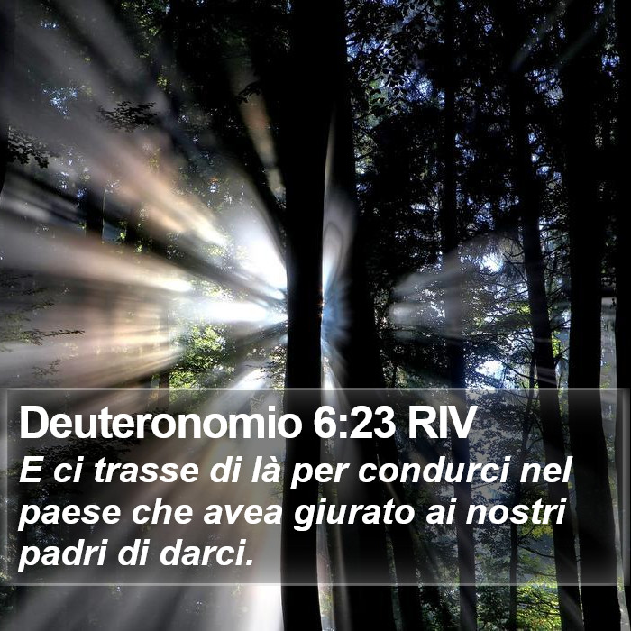 Deuteronomio 6:23 RIV Bible Study