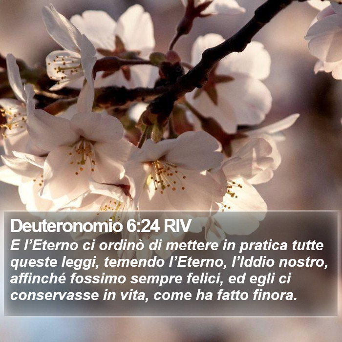 Deuteronomio 6:24 RIV Bible Study