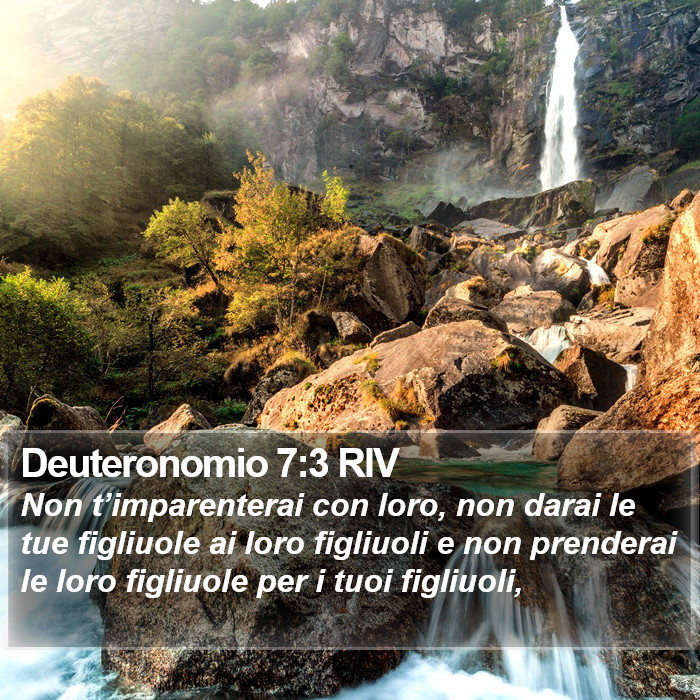 Deuteronomio 7:3 RIV Bible Study