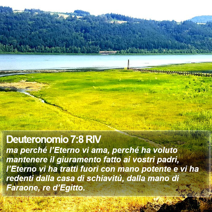 Deuteronomio 7:8 RIV Bible Study