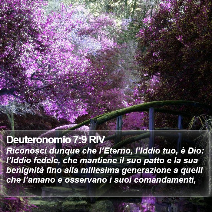 Deuteronomio 7:9 RIV Bible Study