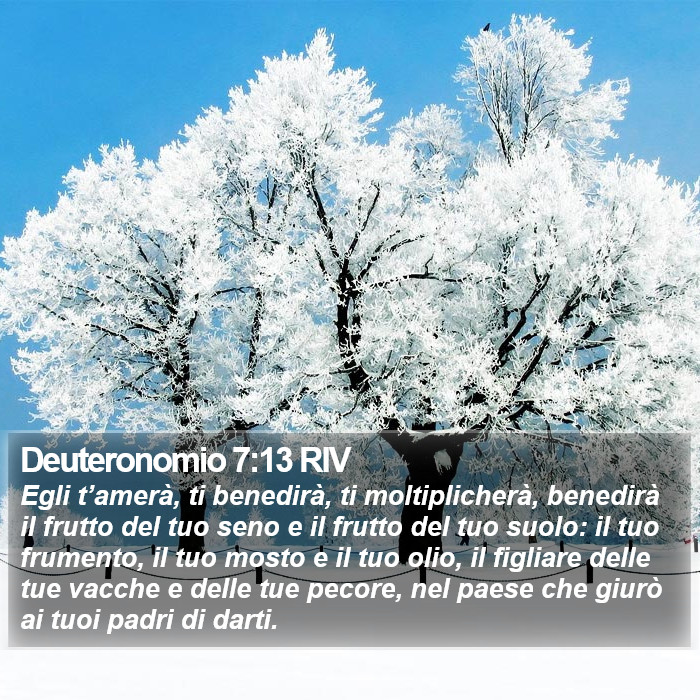 Deuteronomio 7:13 RIV Bible Study