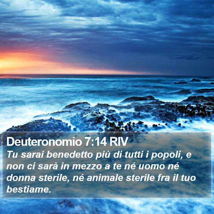 Deuteronomio 7:14 RIV Bible Study