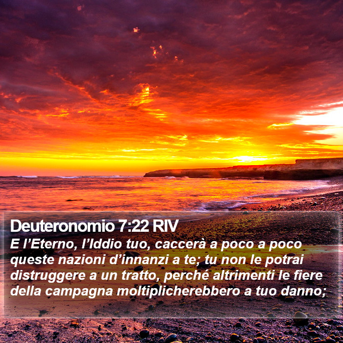 Deuteronomio 7:22 RIV Bible Study