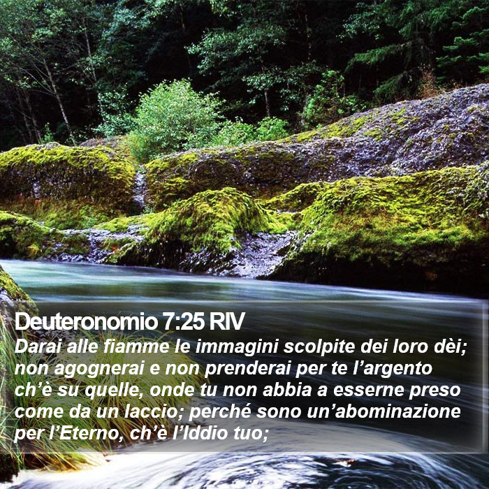 Deuteronomio 7:25 RIV Bible Study