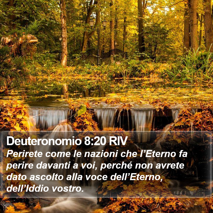 Deuteronomio 8:20 RIV Bible Study