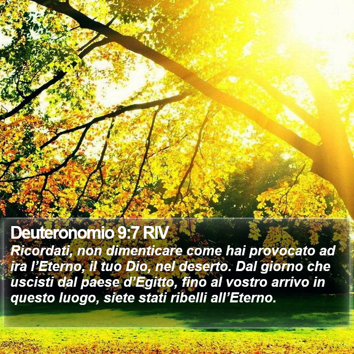 Deuteronomio 9:7 RIV Bible Study