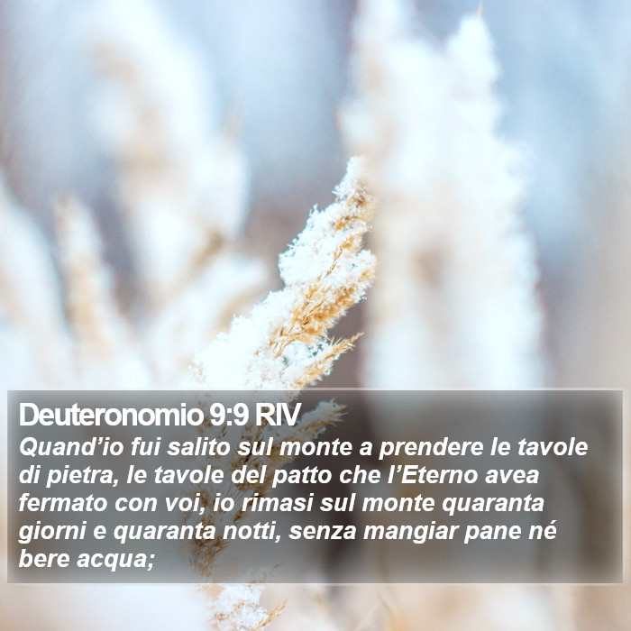 Deuteronomio 9:9 RIV Bible Study