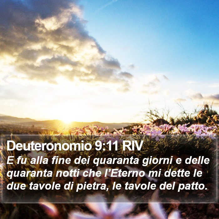 Deuteronomio 9:11 RIV Bible Study