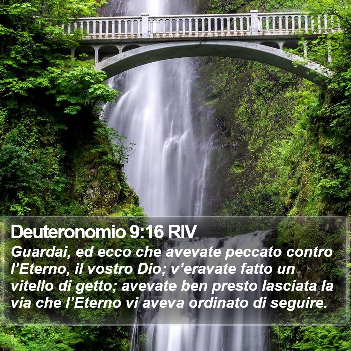 Deuteronomio 9:16 RIV Bible Study