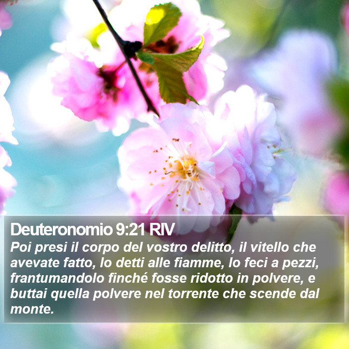 Deuteronomio 9:21 RIV Bible Study