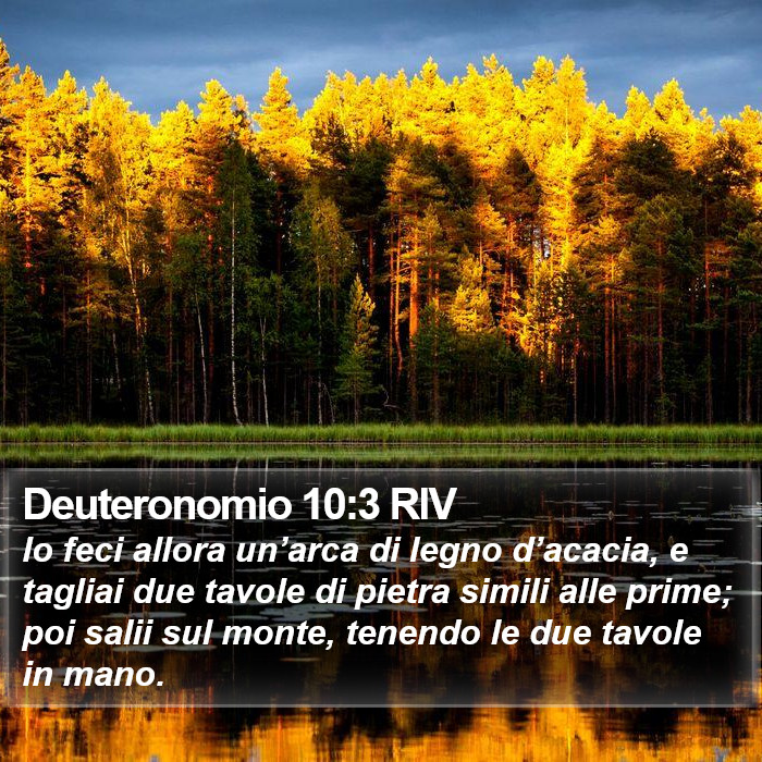 Deuteronomio 10:3 RIV Bible Study