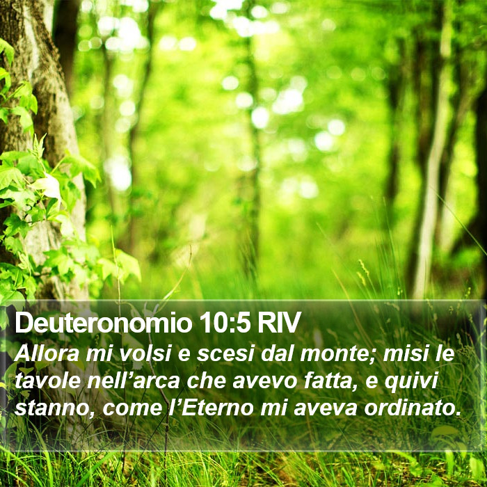 Deuteronomio 10:5 RIV Bible Study