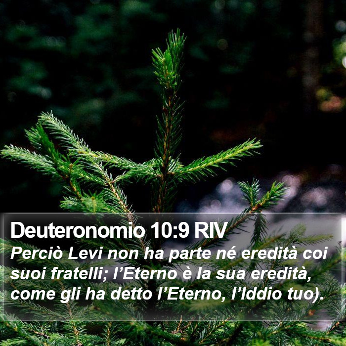 Deuteronomio 10:9 RIV Bible Study