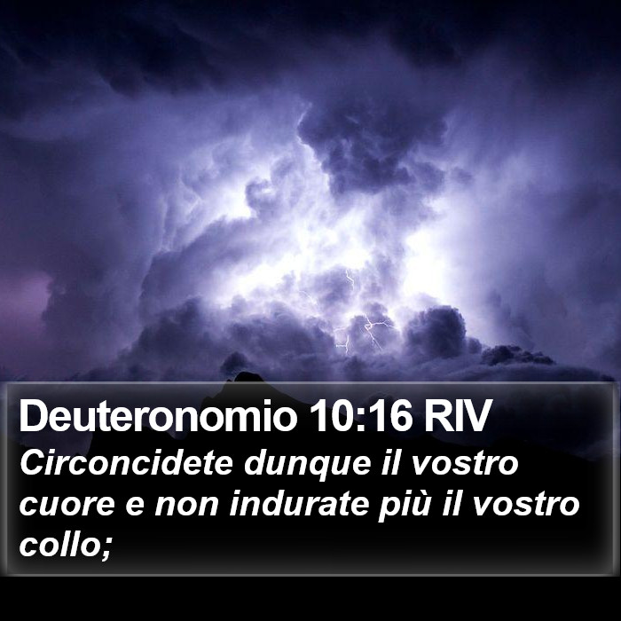 Deuteronomio 10:16 RIV Bible Study